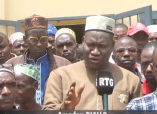 Vol de bétail et destruction des champs agricoles à Boké: Le Procureur annonce des mesures fortes